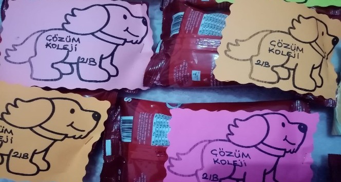 Minik öğrencilerden sokak hayvanlarına dostluk eli