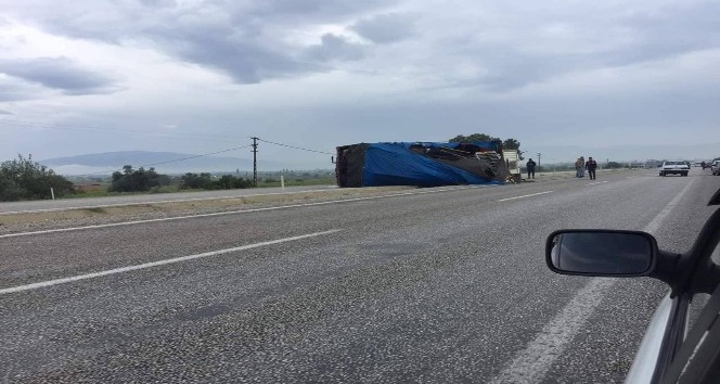 Manisa’da üzüm yüklü kamyon devrildi: 1 yaralı