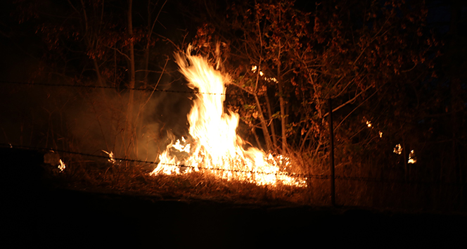 Sivas’ta otluk alanda yangın