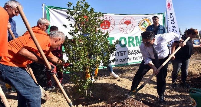 Adalet Ormanı’na anneler için 571 fidan