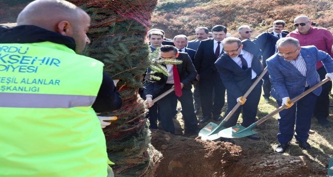 Barış Pınarı Harekatı şehidi için hatıra ormanı