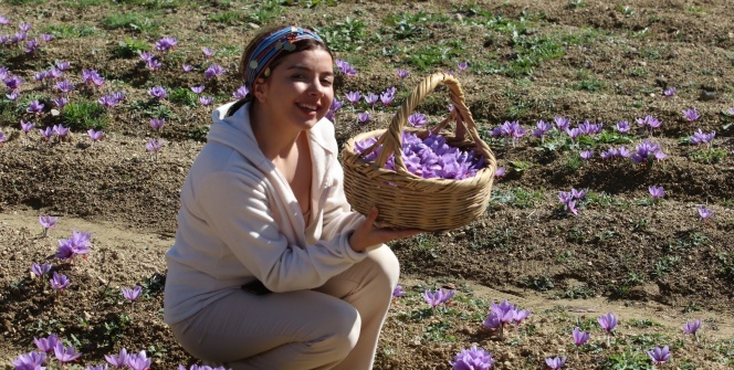 Kilosu 30 bin TL'den satılıyor! Onun için Türkiye'ye resmen akın ediyorlar