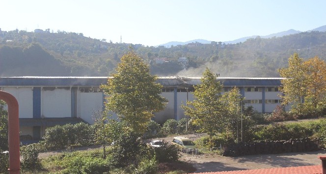 Giresun’daki fındık fabrikası yangını