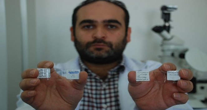 Keşfettiği pire türlerine kızlarının adını verdi