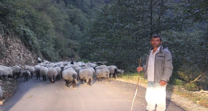 Yayladan dönüşler sürüyor