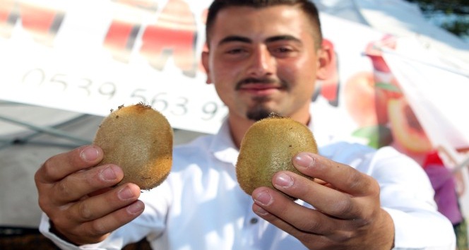 7. Subaşı Kivi Festivali yapıldı