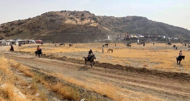 Mardin’de rahvan atları yarıştı