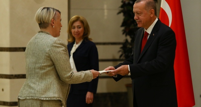 Cumhurbaşkanı Erdoğan, İrlanda Büyükelçisini kabul etti