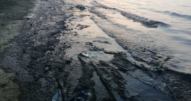 Petrol türevi atıklar denize sızmıştı, firmaya 150 bin lira ceza yolda