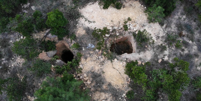 Defineciler ormanı köstebek yuvasına çevirdi