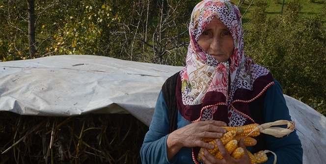 Bu ilçede insanlar uzun yaşıyor