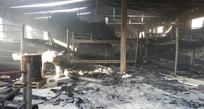 Bolu’da, işçilerin kaldığı konteyner yandı