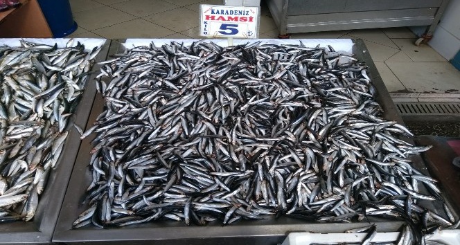 Yozgat’ta hamsinin kilosu 5 liraya düştü