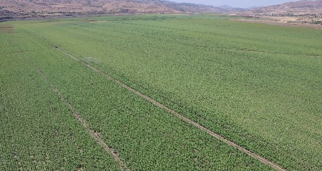 Tunceli’de 5 bin 330 dekar tarım arazisi sulandı