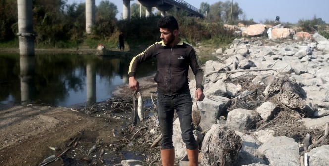 Bursa’da çevre felaketi...Binlercesi ölü bulundu