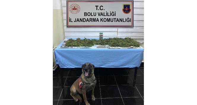 Bolu’da, uyuşturucu operasyonu: 1 gözaltı