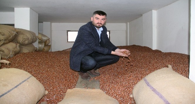 Fındık fiyatı 20 liraya koşuyor