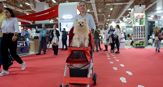 Evcil hayvanını alan PETZOO Fuarı'na geldi