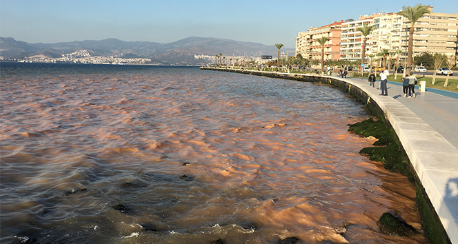 İzmir’de denizin rengi değişti, vatandaşlarda şaşırdı