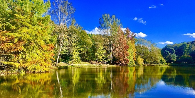 Atatürk Arboretumu’nda renk cümbüşü