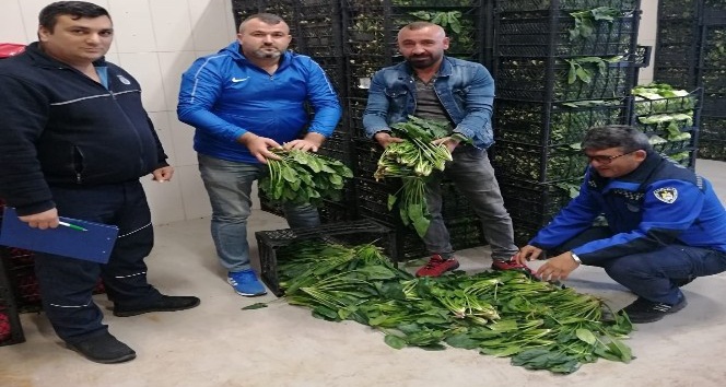 Zabıtadan sebze ve meyve halinde sıkı denetim