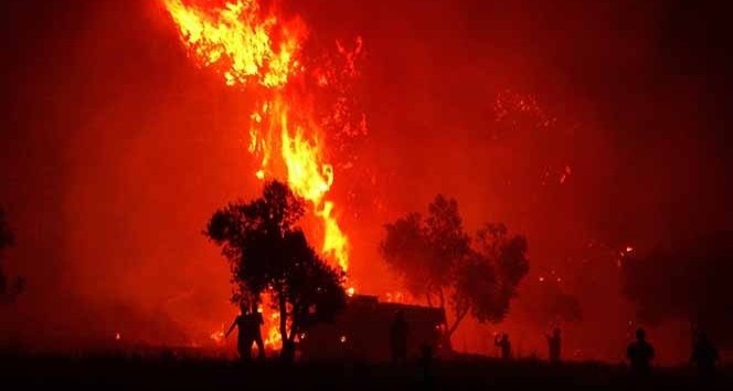Çanakkale’de 2019 yılında 52 orman yangını çıktı