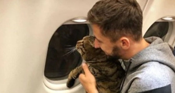 Tombul kedi uçağa alınmayınca sahibi başka kediyi tarttırdı