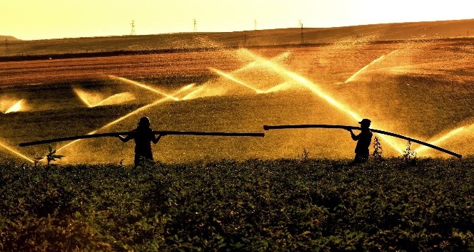Aydın: “Bitlis’te 7 bin 500 dekar tarım arazisi sulandı”
