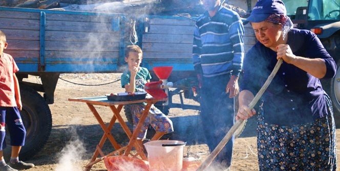 Bir gün uğraşıp tüm kış boyunca yiyorlar
