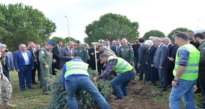 Yalova’da 31 bin 350 ağaç dikildi