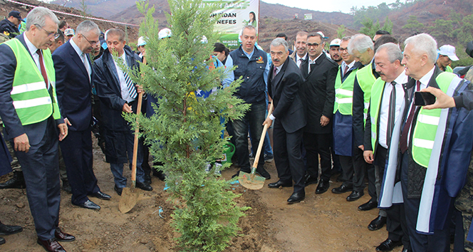 İzmir’de PKK’nın yaktığı alan ağaçlandırılıyor