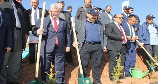 Çankırı’da 26 noktada fidan dikimi