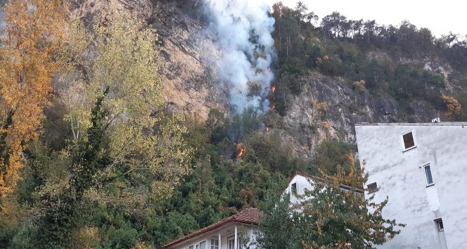 Bartın’da orman yangını köyü tehdit ediyor