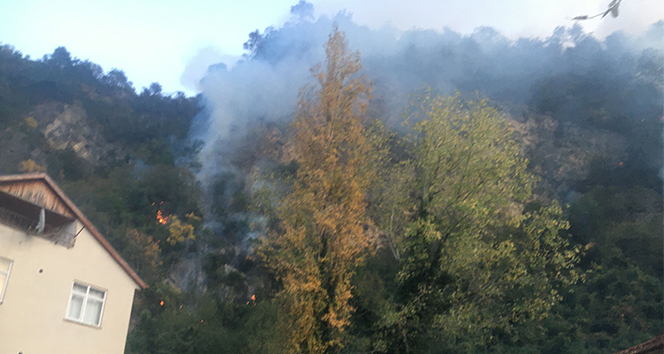 Bartın&#039;daki orman yangını kontrol altına alındı