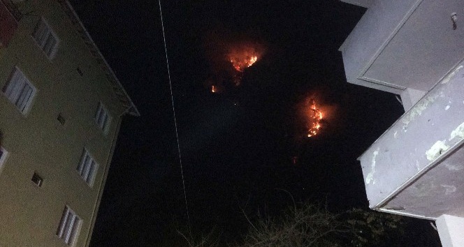 Bartın’daki orman yangınında 7 ev tahliye edildi