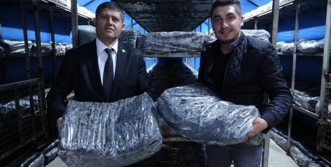 Bu işi evinizin bodrum katında dahi yapabilirsiniz! Paraya para demiyorlar