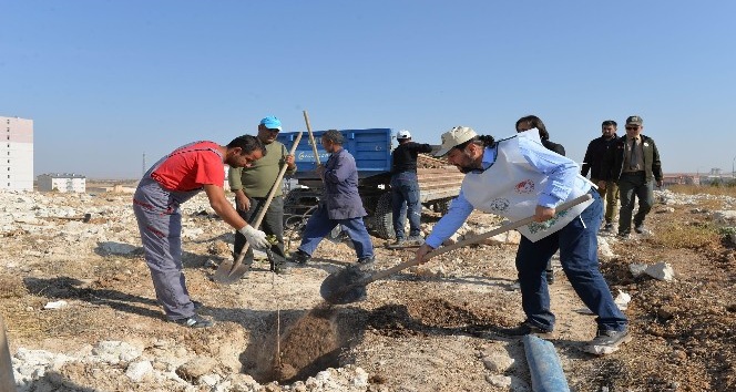 Rektör Akgül, ‘Geleceği nefes” kampanyası için fidan dikti