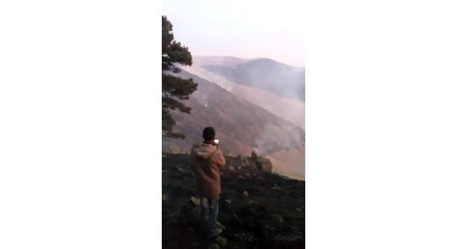 Ardahan’daki orman yangınını söndürme çalışmaları sürüyor
