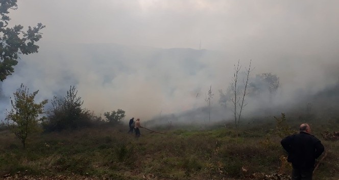Altınova’da orman yangını