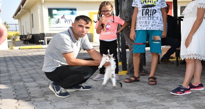 Aksaray Belediyesi sokak hayvanlarına şefkat eli uzatıyor