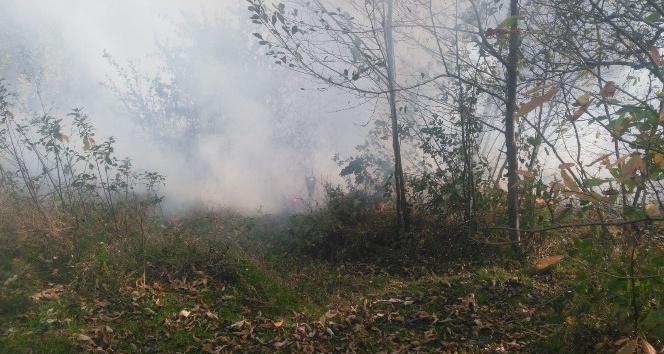 Ordu’da orman yangını kontrol altına alındı