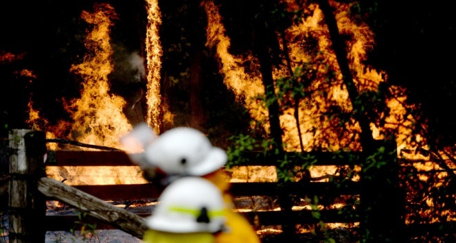 Avustralya’da orman yangınlarıyla mücadele sürüyor