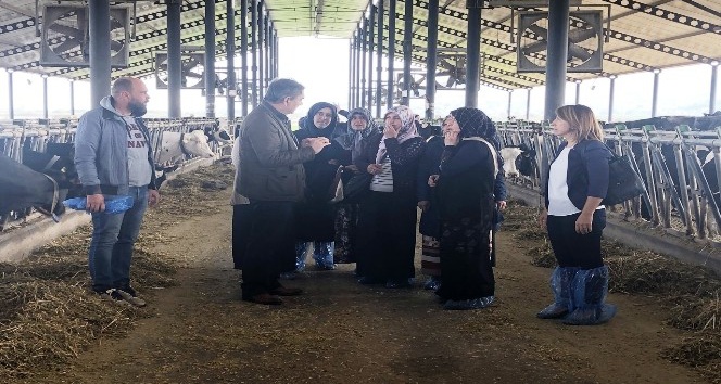 Aydın’da kadın çiftçiler hayvan çiftliğini gezdi