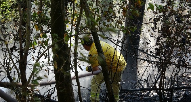 Ormanlık alandaki yangın ekiplerce söndürüldü