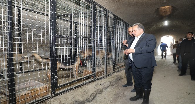 Başkan Yalçın sevimli dostlarla