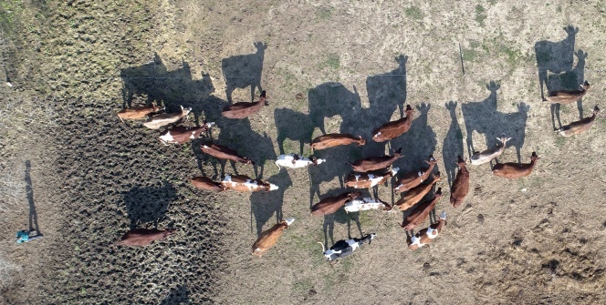 Üretime başladı, 5 yılda taleplere yetişemez hale geldi! İnsanlar alabilmek için sıraya giriyor