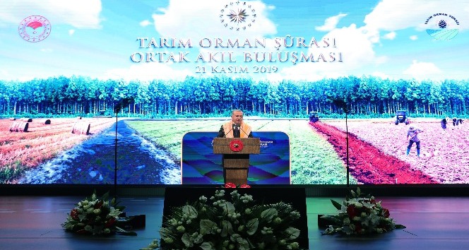 Cumhurbaşkanı Erdoğan: “Gıda güvenliği milli güvenlik meselesi haline geldi”