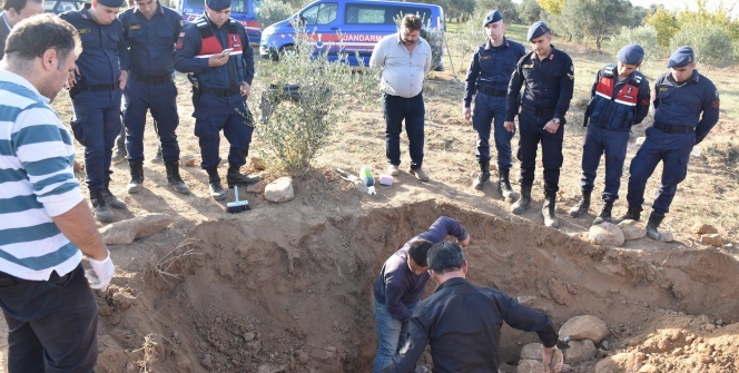 Zeytinlikte bulundu! Tam 2 bin 500 yıllık...