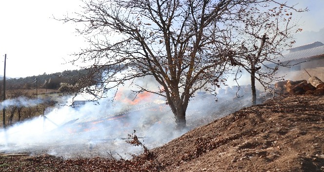 Bolu’da samanlık yangınında yüzlerce tavuk telef olmaktan kurtarıldı