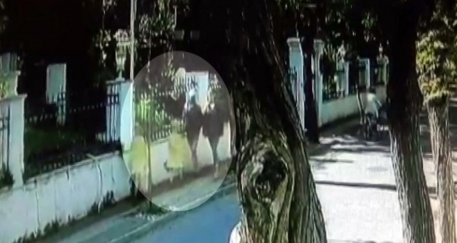 Eski İngiliz ajanı Le Mesurier'in ölmeden önceki son görüntüsü